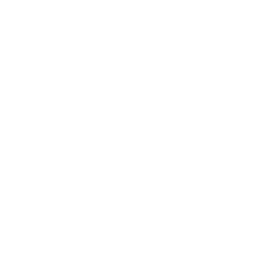Magnum Opus LLC logo